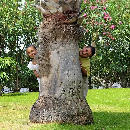 فندق The Views Oasis