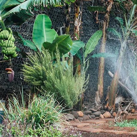 The Views Oasis Hotell