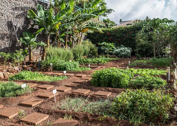 The Views Oasis 4* Canico (Madeira)