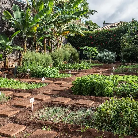 The Views Oasis 4* Caniço