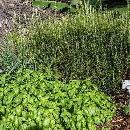 The Views Oasis Ξενοδοχείο Caniço