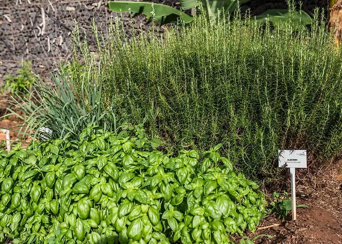 The Views Oasis Hotel Canico (Madeira)
