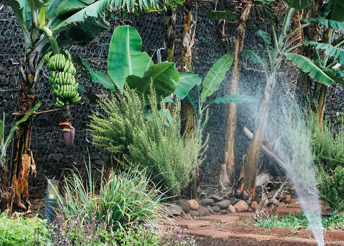 The Views Oasis Hotel